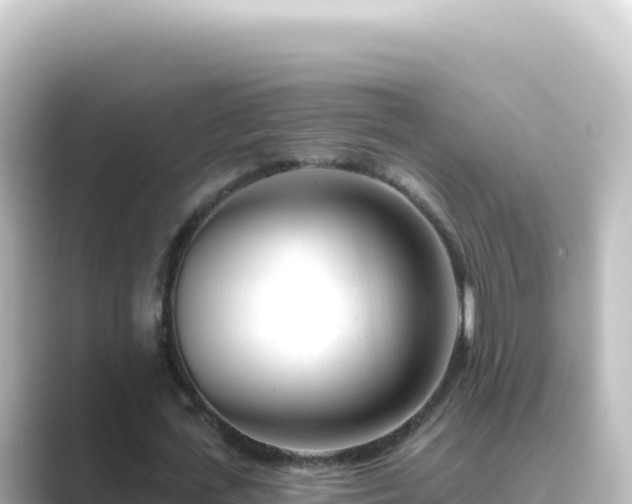 X0000089440723200706221228