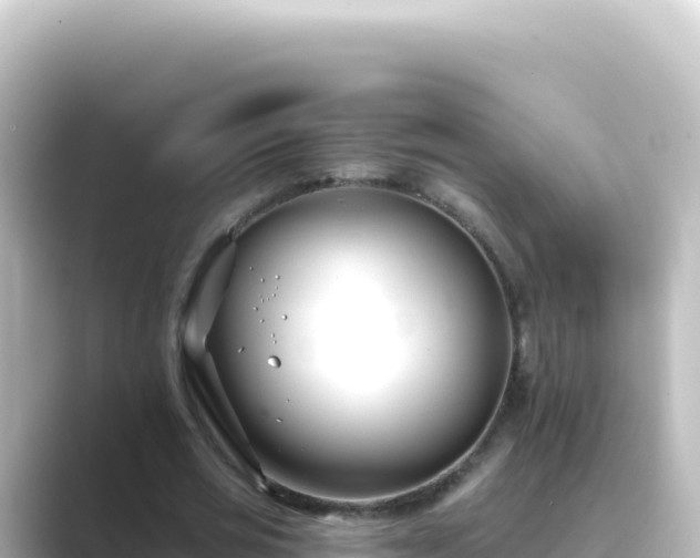 X0000089440725200706221228