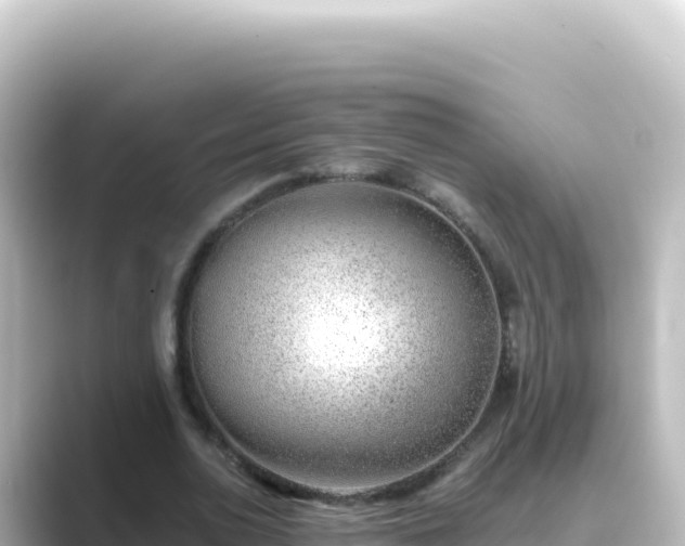 X0000089440726200706221228