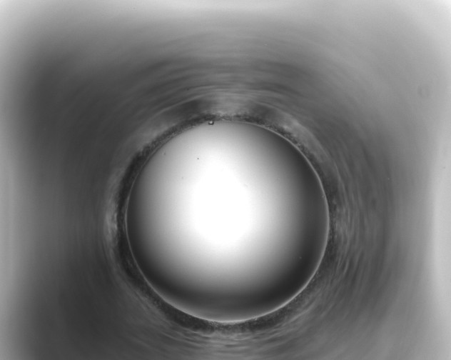 X0000089440727200706221228