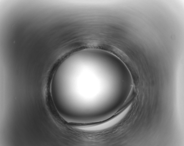 X0000089440728200706221229
