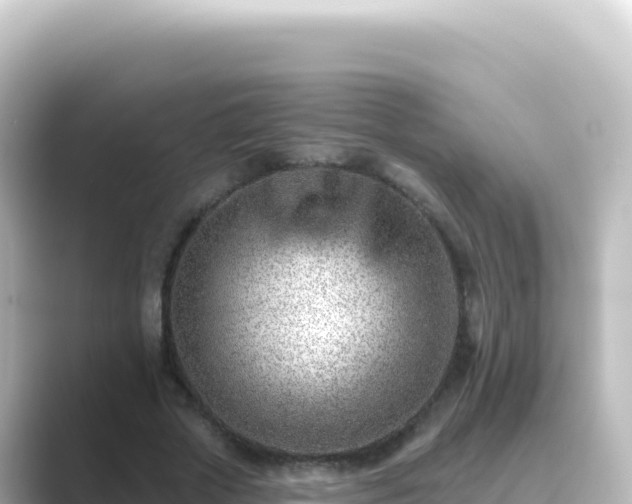 X0000089440729200706221229