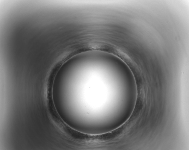 X0000089440730200706221229