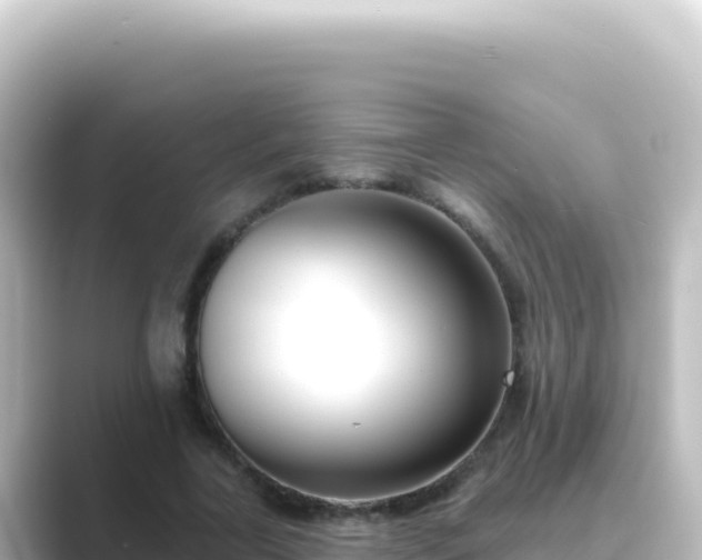 X0000089440731200706221229