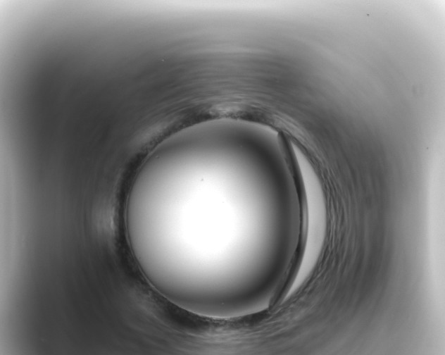 X0000089440732200706221229