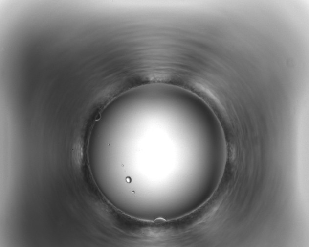 X0000089440733200706221229