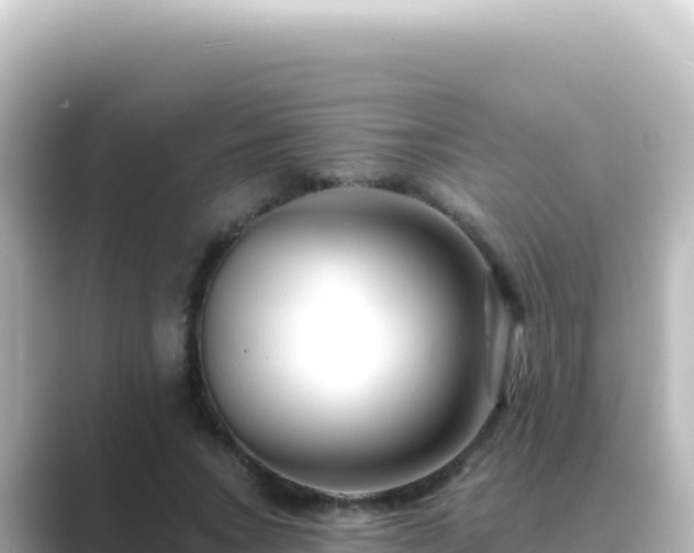 X0000089440735200706221229