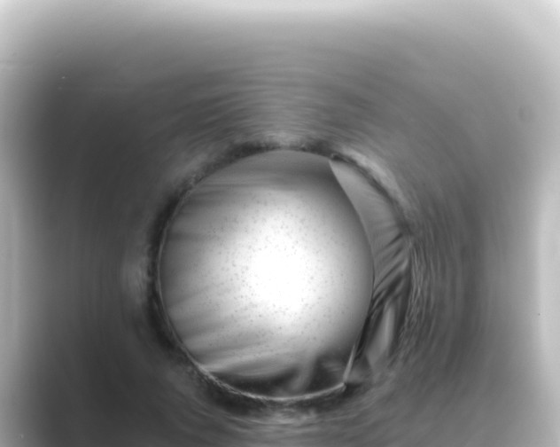 X0000089440736200706221229