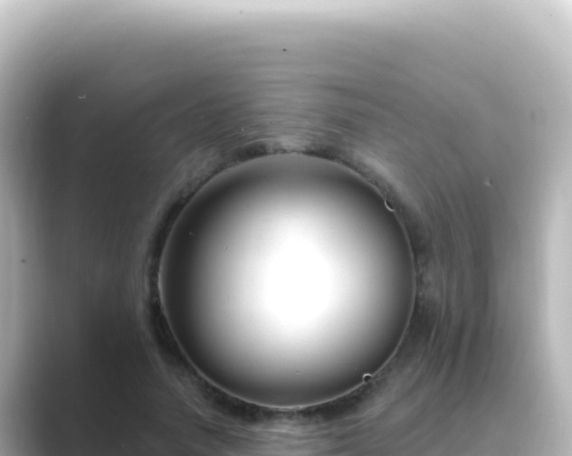 X0000089440738200706221229