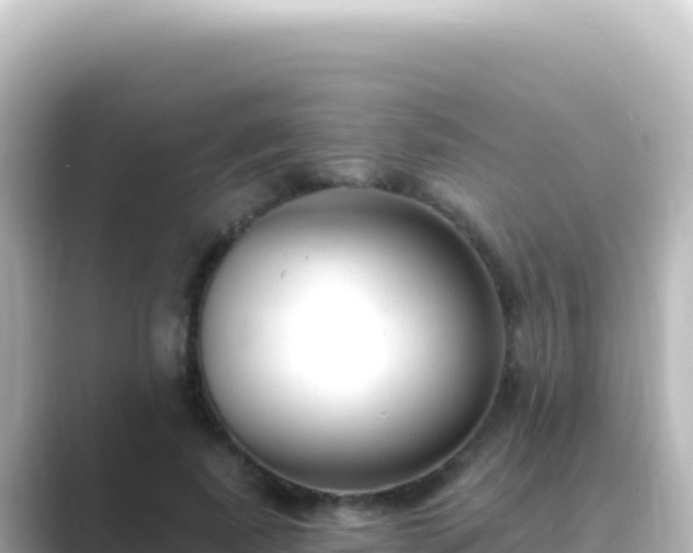 X0000089440739200706221229