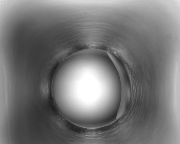 X0000089440740200706221229
