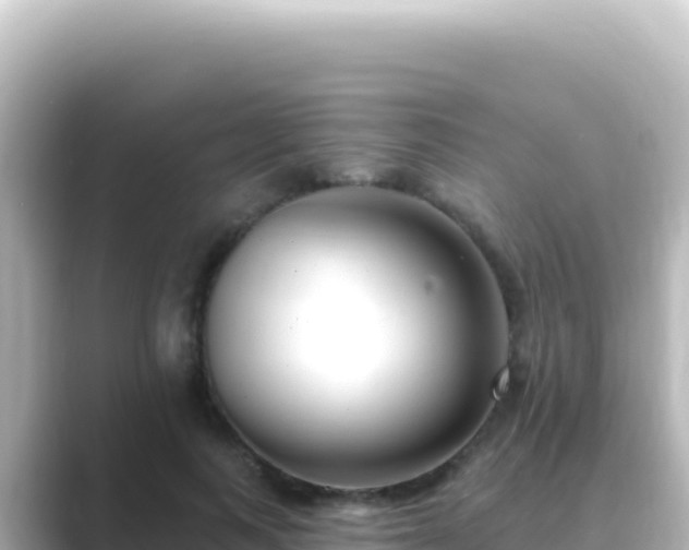 X0000089440743200706221229
