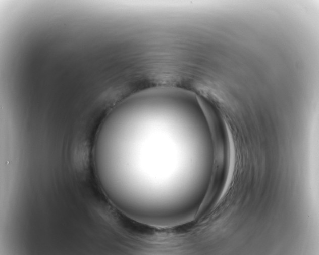 X0000089440744200706221229