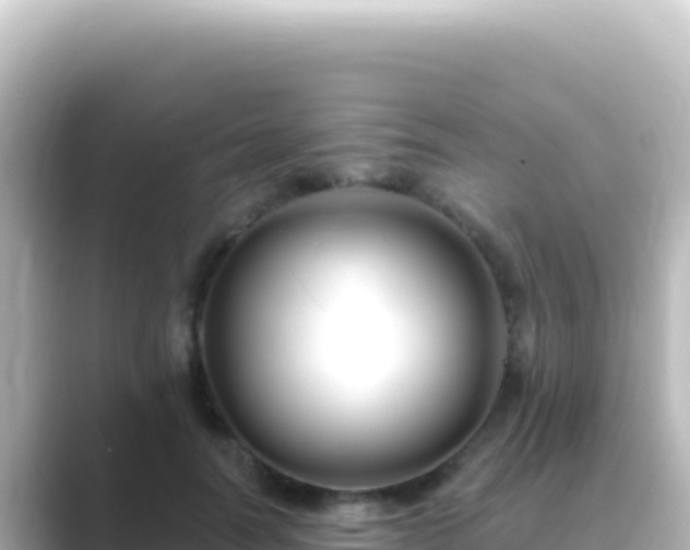 X0000089440746200706221229