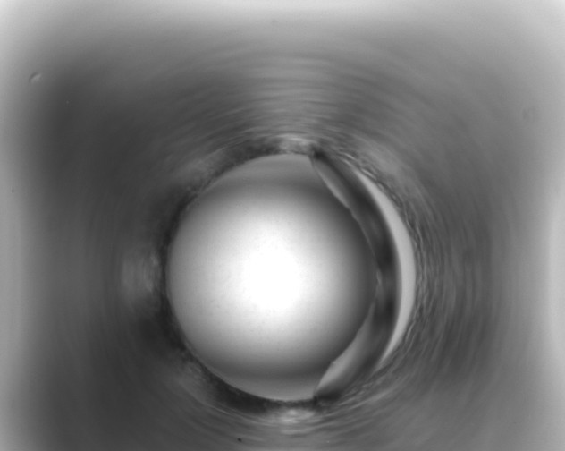 X0000089440748200706221229