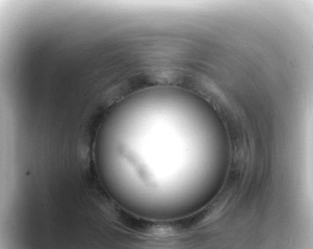 X0000089440749200706221229