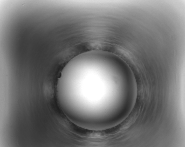X0000089440751200706221229