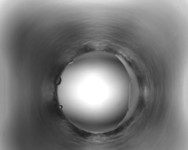 X0000089440752200706221229