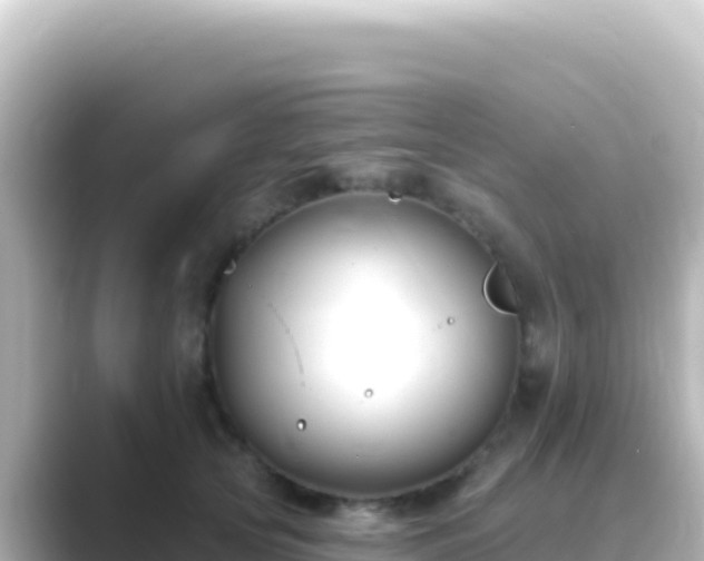 X0000089440753200706221229