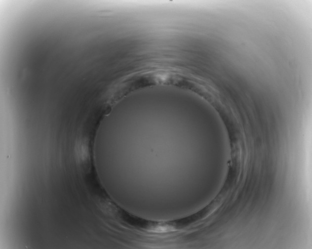 X0000089440754200706221229