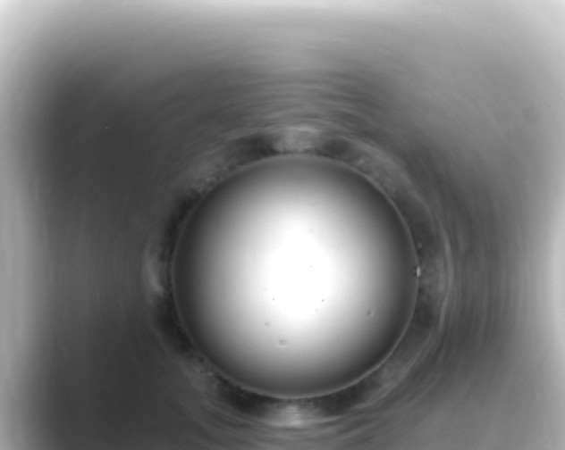 X0000089440755200706221229