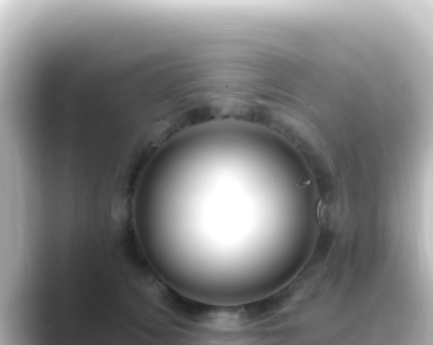 X0000089440756200706221229