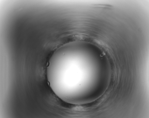 X0000089440759200706221229