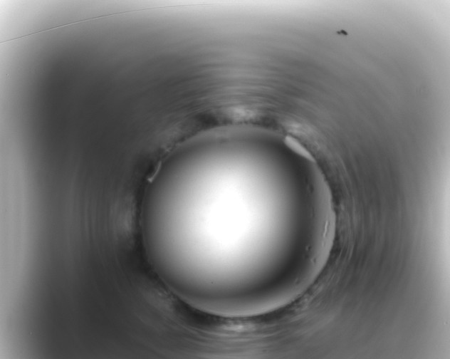 X0000089440760200706221229