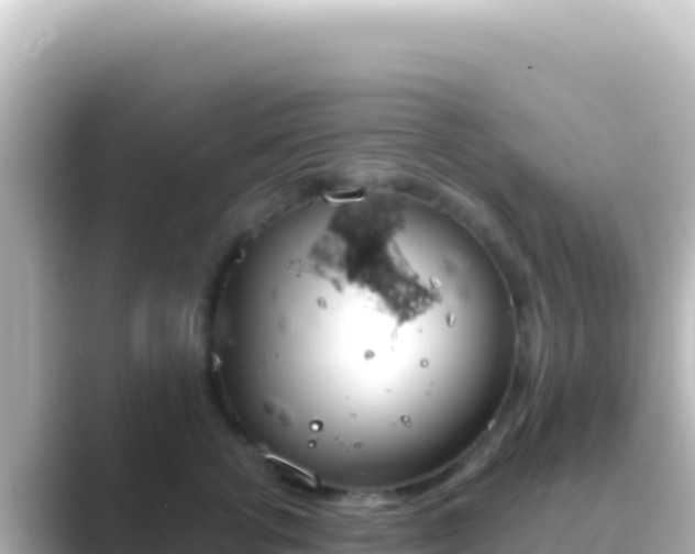 X0000089440762200706221229