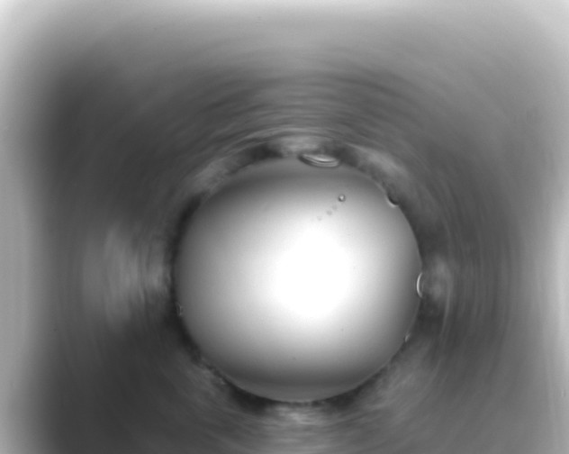 X0000089440763200706221229
