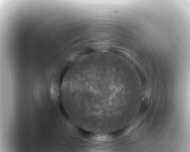 X0000089440767200706221229