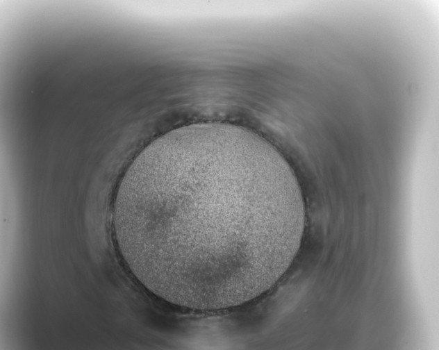 X0000089440769200706221228
