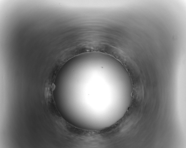 X0000089440770200706221228