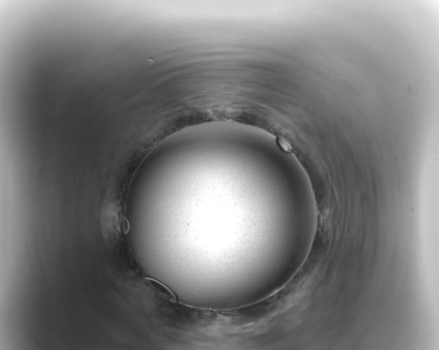 X0000089440772200706221228