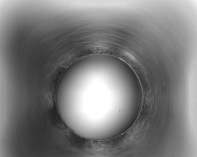 X0000089440774200706221228