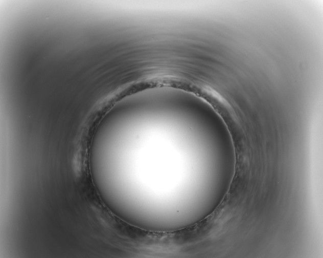 X0000089440775200706221228