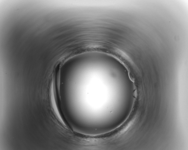X0000089440777200706221228