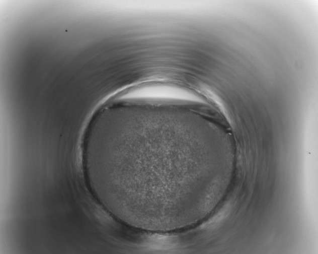 X0000089440779200706221228