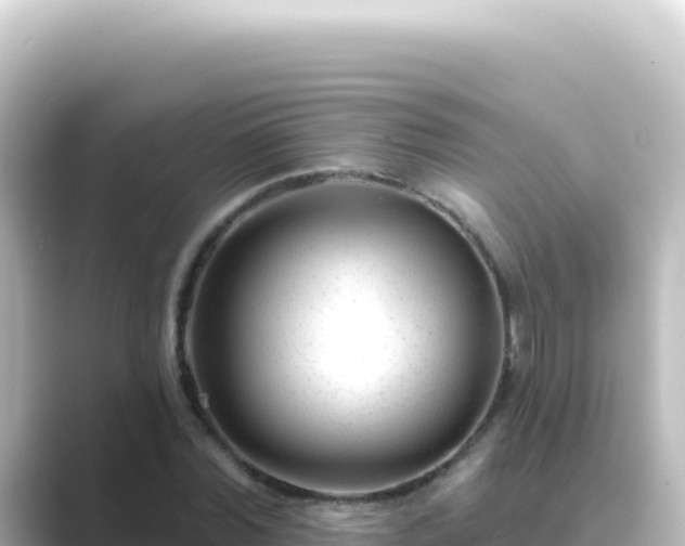 X0000089440780200706221228