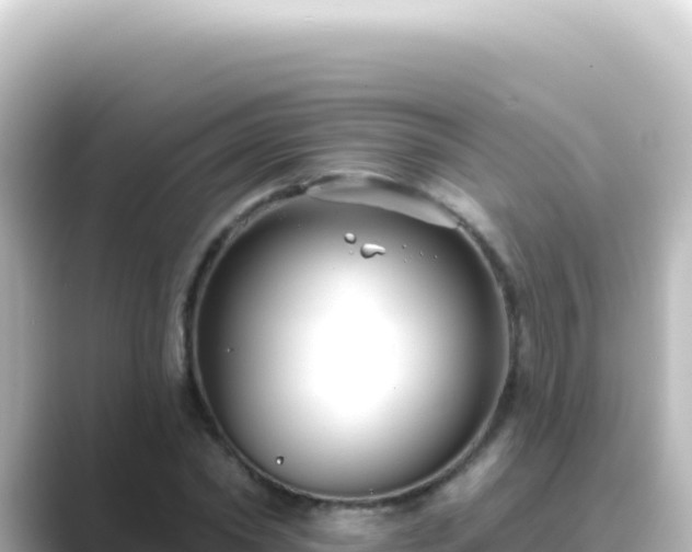 X0000089440782200706221228