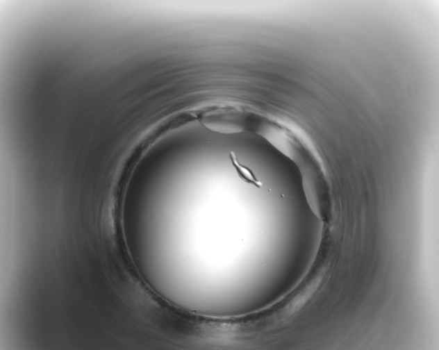 X0000089440783200706221228