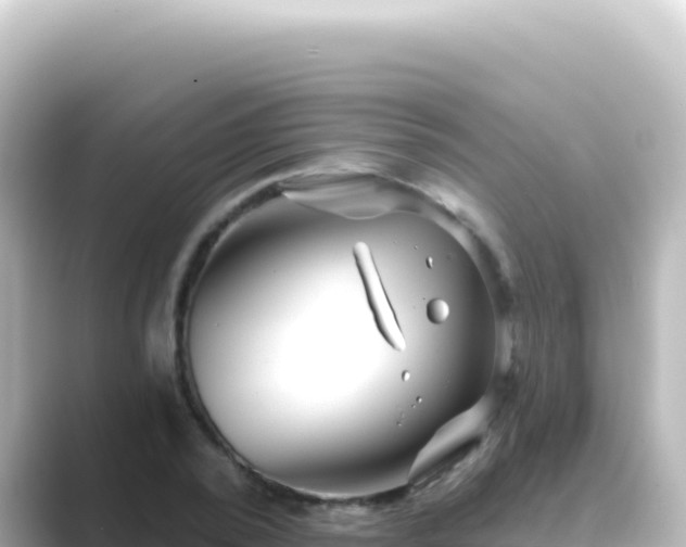 X0000089440784200706221228