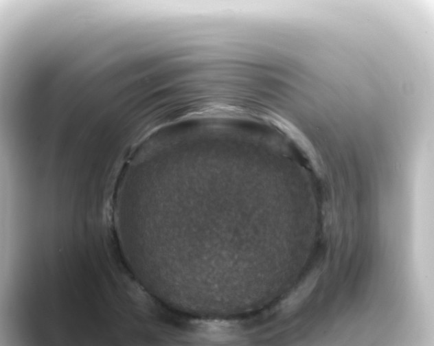 X0000089440785200706221228