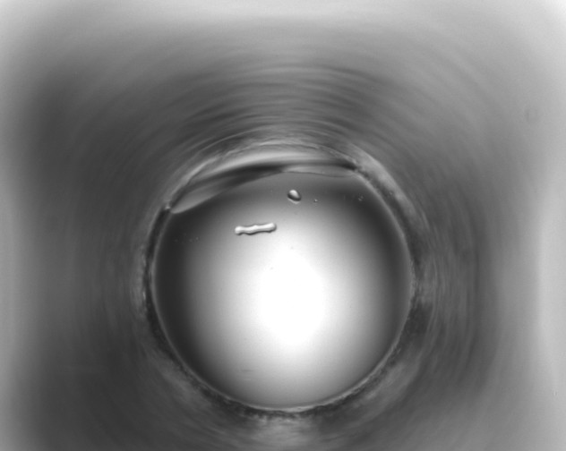 X0000089440786200706221228