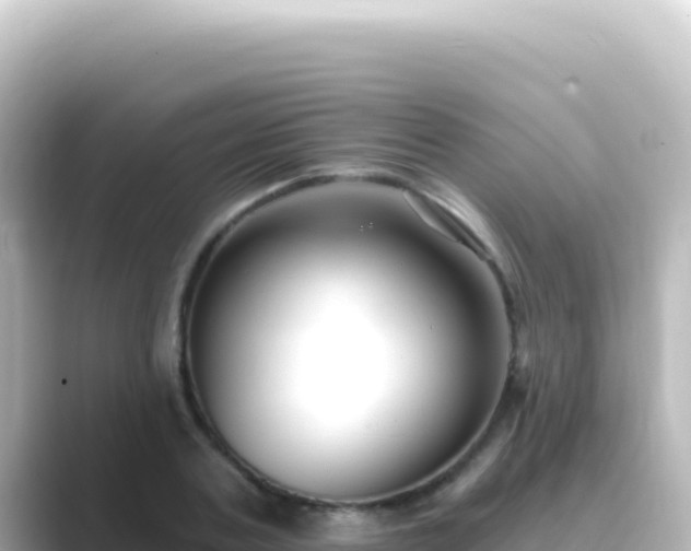 X0000089440787200706221228