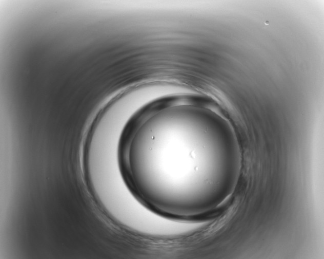 X0000089440788200706221228
