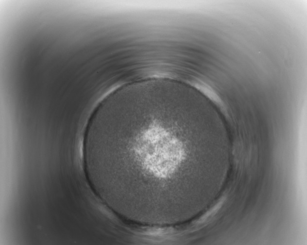 X0000089440790200706221228