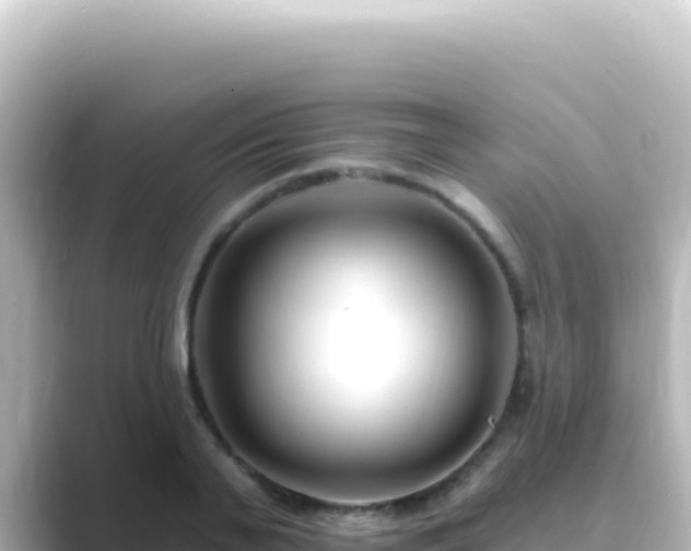 X0000089440791200706221228