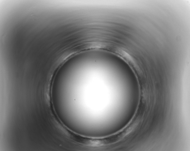 X0000089440794200706221228