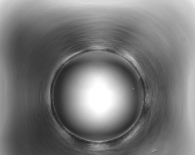 X0000089440795200706221228